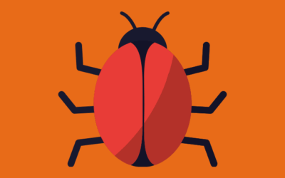 What Is an Illegal Nulled Theme Actually